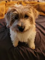 processed/c9f53d92-0b89-497b-b8b5-21b906e5f8a0/facility/6e7ba7a3-2dc4-42d7-88e9-ef2a9be4296d