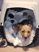 processed/c9f53d92-0b89-497b-b8b5-21b906e5f8a0/facility/91c3c6d7-65e6-4382-af2f-732705eb035d