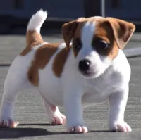 processed/c9f53d92-0b89-497b-b8b5-21b906e5f8a0/facility/b1d5f13e-7e2f-47b9-a4eb-eaeb5d78e1b3