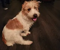 processed/c9f53d92-0b89-497b-b8b5-21b906e5f8a0/facility/c9c00710-0dff-415c-8135-df1cec569a89