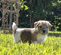 processed/c9f53d92-0b89-497b-b8b5-21b906e5f8a0/facility/d118603f-6bfa-487a-829e-a670265fcf60