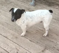 processed/c9f53d92-0b89-497b-b8b5-21b906e5f8a0/listing/53378dce-ecba-401b-8841-e9bcfaf8e7da/077387e2-1ef0-4488-9a63-1c3bba222fa6