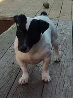 processed/c9f53d92-0b89-497b-b8b5-21b906e5f8a0/listing/53378dce-ecba-401b-8841-e9bcfaf8e7da/def2110c-2ee2-4680-93ce-e382a64d752a