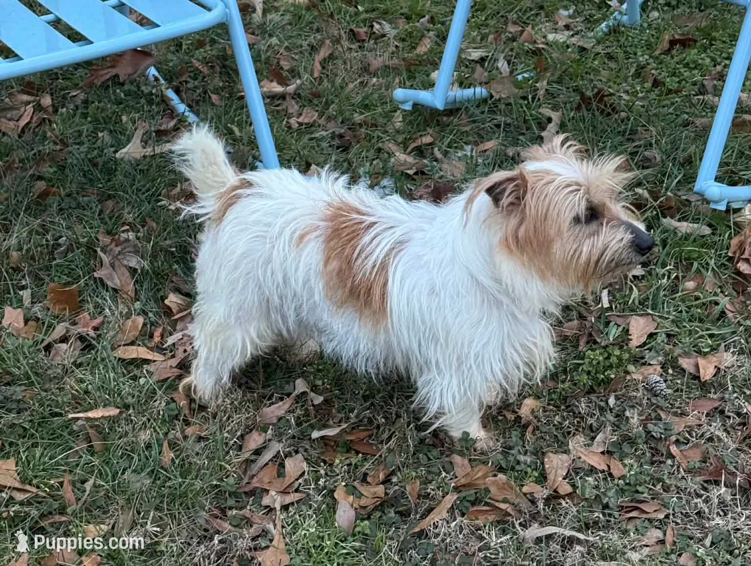 processed/c9f53d92-0b89-497b-b8b5-21b906e5f8a0/listing/bc729c51-cb4e-45e5-b6aa-a8eadf7a6f91/629e315c-c5db-4f0f-9917-84689adbb884