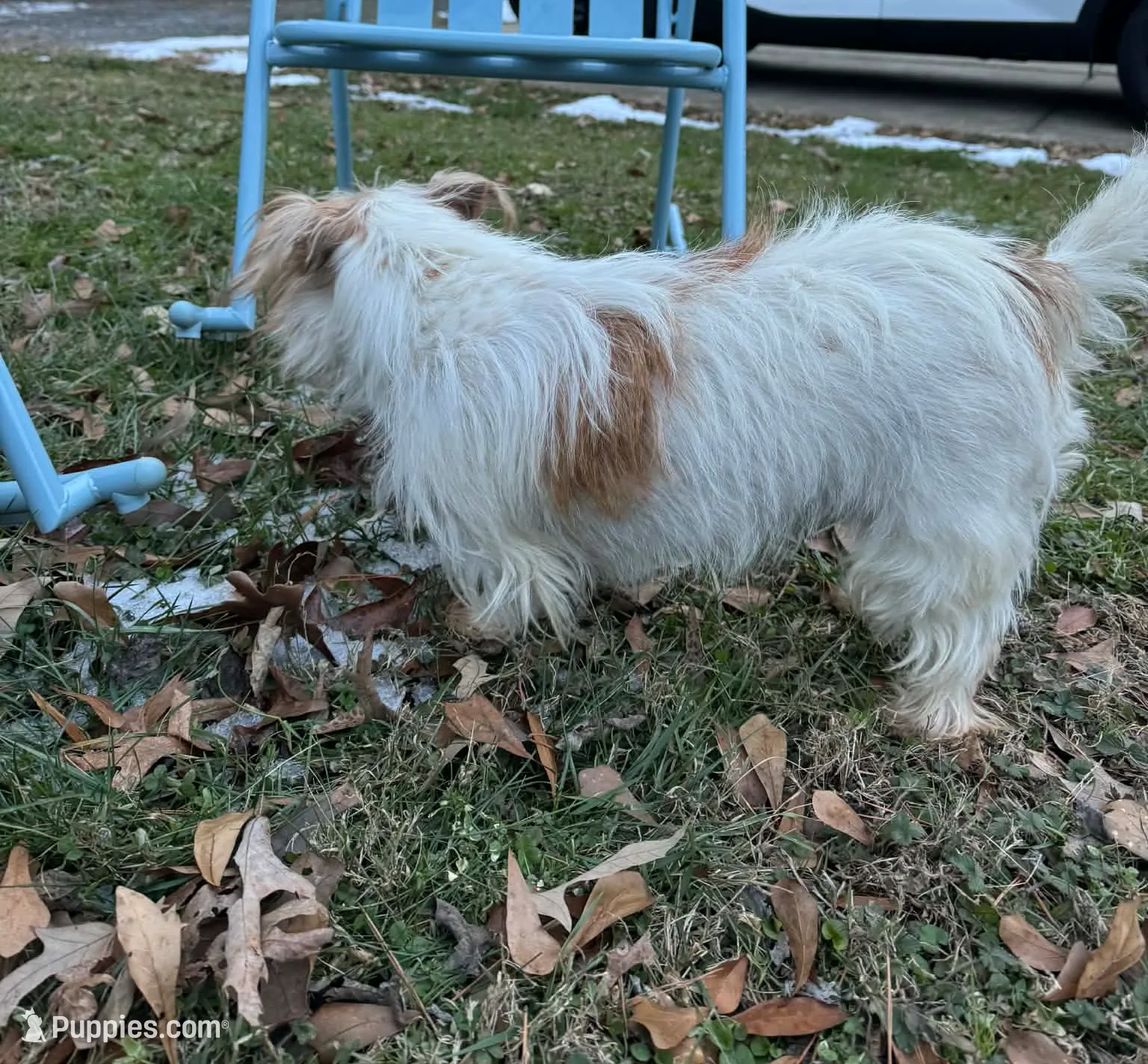 processed/c9f53d92-0b89-497b-b8b5-21b906e5f8a0/listing/bc729c51-cb4e-45e5-b6aa-a8eadf7a6f91/f845d3b0-7708-44c2-9ba0-1185d8c53d50