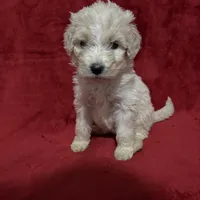 processed/c9f5744a-8e87-479d-bcc5-3ac200f44ee3/facility/1a618af9-3710-4bcb-bbd1-d6e7b7c8b759