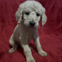 processed/c9f5744a-8e87-479d-bcc5-3ac200f44ee3/facility/9e9d7580-ba89-42bd-9ef8-d73862e5bfcd