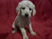 processed/c9f5744a-8e87-479d-bcc5-3ac200f44ee3/facility/9e9d7580-ba89-42bd-9ef8-d73862e5bfcd