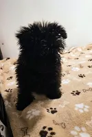 processed/c9f84cf0-4660-4a7a-aafb-17df765947fe/listing/1ef5c596-5bee-46f3-8063-1ec8a5ff6046/1cb8786f-643f-470e-866a-aeb69ebea091