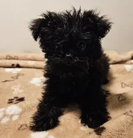 processed/c9f84cf0-4660-4a7a-aafb-17df765947fe/listing/1ef5c596-5bee-46f3-8063-1ec8a5ff6046/50ae03dc-3fc0-4d88-b367-8eae2774f439