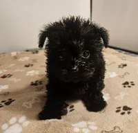 processed/c9f84cf0-4660-4a7a-aafb-17df765947fe/listing/1ef5c596-5bee-46f3-8063-1ec8a5ff6046/841c1a8a-6762-4079-8f52-a859118e4c36