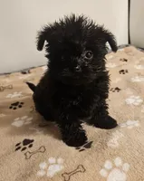 processed/c9f84cf0-4660-4a7a-aafb-17df765947fe/listing/1ef5c596-5bee-46f3-8063-1ec8a5ff6046/87102bef-51ba-481b-accb-bd8ed0018873