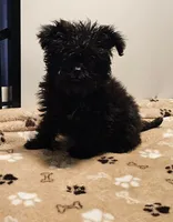 processed/c9f84cf0-4660-4a7a-aafb-17df765947fe/listing/1ef5c596-5bee-46f3-8063-1ec8a5ff6046/ad248d11-3e1a-4e55-a372-4b6a00843129