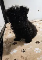 processed/c9f84cf0-4660-4a7a-aafb-17df765947fe/listing/1ef5c596-5bee-46f3-8063-1ec8a5ff6046/f5e73ff1-ff08-43a5-bd81-98ef153099f0