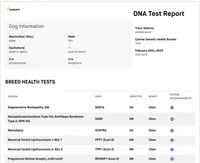 processed/c9fdd8ff-46bc-4d65-b9ce-692a6ebefed9/listing/003a679a-8306-48d1-9dc3-6b45b4f21f18/a19c46f5-bff0-4f18-8cab-68dd4ba1537a