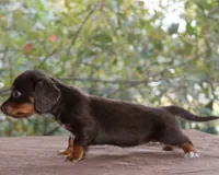 processed/c9fdd8ff-46bc-4d65-b9ce-692a6ebefed9/listing/003a679a-8306-48d1-9dc3-6b45b4f21f18/e180eff3-cf94-47e5-9cfa-d9a5bd4f3ff9