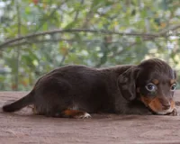 processed/c9fdd8ff-46bc-4d65-b9ce-692a6ebefed9/listing/003a679a-8306-48d1-9dc3-6b45b4f21f18/f1ceb7d2-ec87-4ea2-88cd-0e6ececa52d1