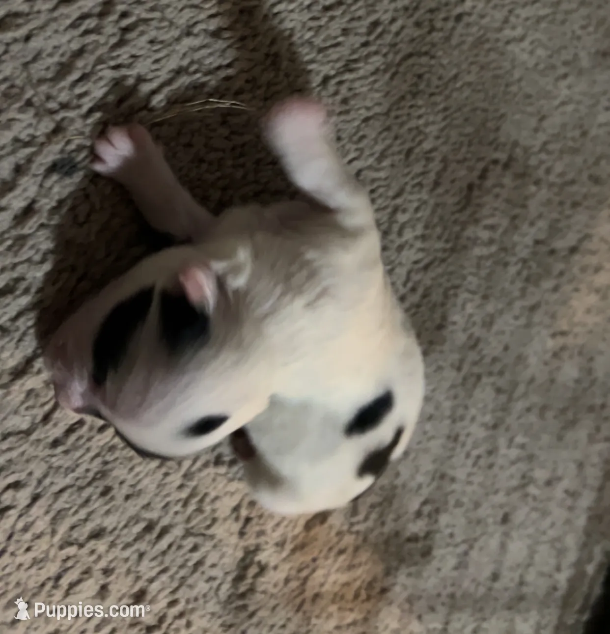 processed/ca005b51-ae79-41e0-b1ac-44fbea9dc5f5/listing/51e5e7de-83d2-421e-ae05-82f5e2eb2261/df963e6a-18eb-4fc1-9191-0c5688ff54f2