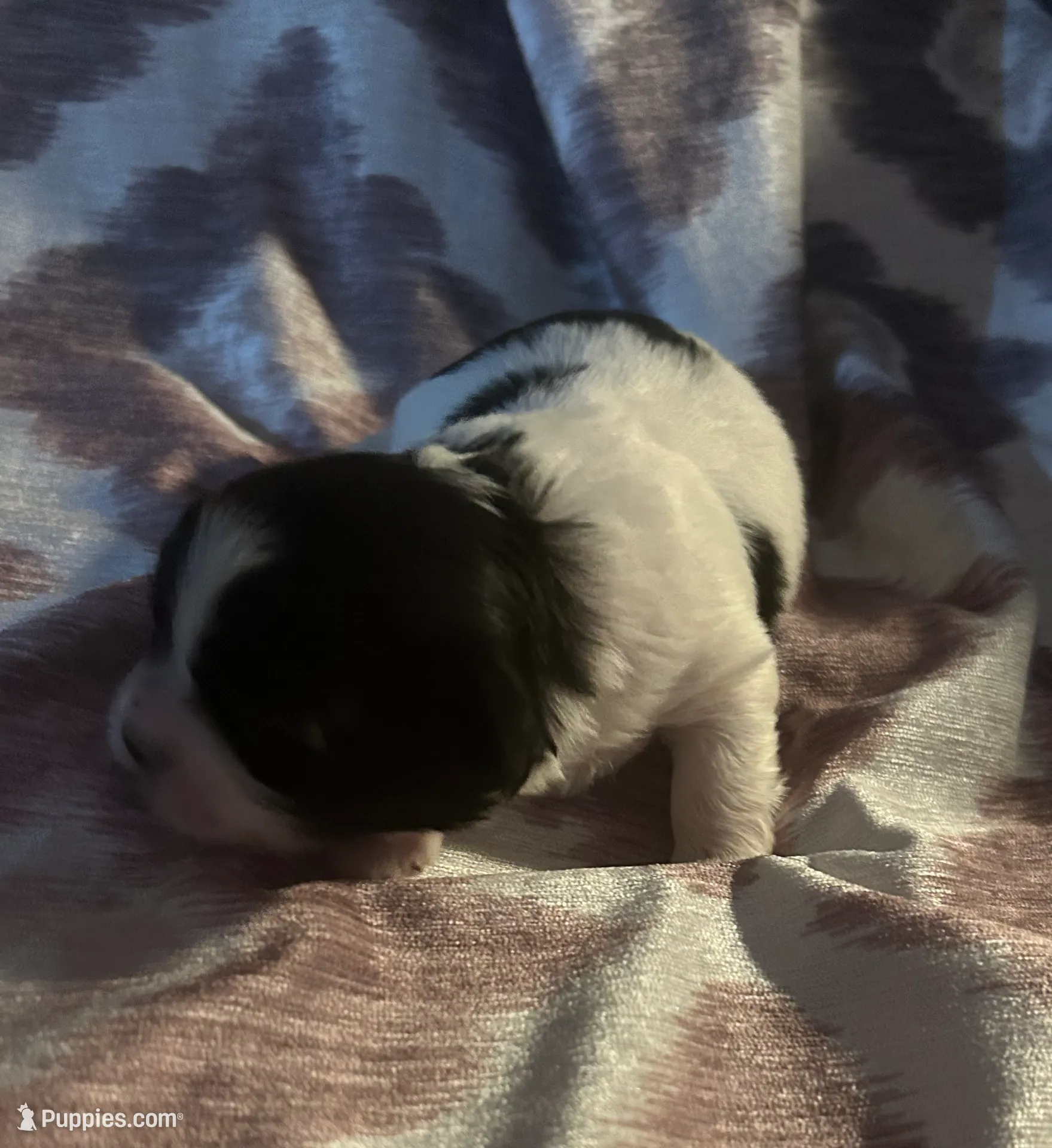 processed/ca005b51-ae79-41e0-b1ac-44fbea9dc5f5/listing/af8273b6-5e5f-449c-b664-f7d3b47bfe27/0e91df4e-f6b9-4496-ba60-4cf4db1dcca8