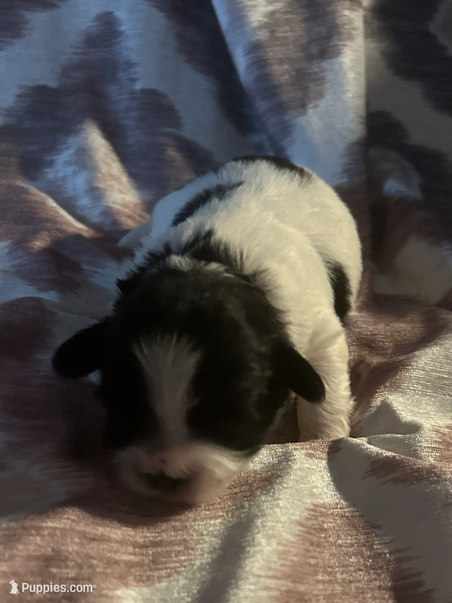 processed/ca005b51-ae79-41e0-b1ac-44fbea9dc5f5/listing/af8273b6-5e5f-449c-b664-f7d3b47bfe27/a2cdd4dd-3bcf-471b-a6e6-65fce564f202