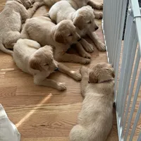 processed/ca0119b5-bf82-410c-867f-2bf52816b1bd/facility/10da0337-47cd-4aa1-8173-2f56f2724c34