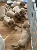 processed/ca0119b5-bf82-410c-867f-2bf52816b1bd/facility/10da0337-47cd-4aa1-8173-2f56f2724c34