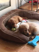 processed/ca0119b5-bf82-410c-867f-2bf52816b1bd/facility/3ae482f6-c19e-416d-948c-f6b8cce56ae7