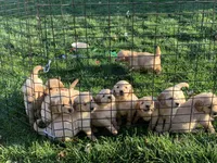 processed/ca0119b5-bf82-410c-867f-2bf52816b1bd/facility/681027f0-bd02-46c0-806b-deccdc9c5280