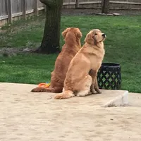 processed/ca0119b5-bf82-410c-867f-2bf52816b1bd/facility/716afe5a-4715-4686-8069-bd8cdc5ac8b9