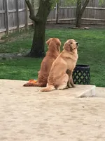 processed/ca0119b5-bf82-410c-867f-2bf52816b1bd/facility/716afe5a-4715-4686-8069-bd8cdc5ac8b9