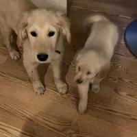 processed/ca0119b5-bf82-410c-867f-2bf52816b1bd/facility/91d1eef3-78c4-4948-9c07-01bdbd16ec91