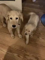 processed/ca0119b5-bf82-410c-867f-2bf52816b1bd/facility/91d1eef3-78c4-4948-9c07-01bdbd16ec91