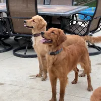 processed/ca0119b5-bf82-410c-867f-2bf52816b1bd/facility/b4ee7aba-b72c-4d4e-92f2-4c60ea2144e7