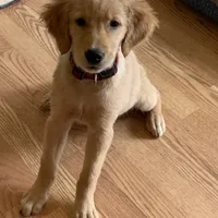 processed/ca0119b5-bf82-410c-867f-2bf52816b1bd/facility/eb97d93e-b071-4ca0-a5f4-94047017b092