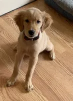 processed/ca0119b5-bf82-410c-867f-2bf52816b1bd/facility/eb97d93e-b071-4ca0-a5f4-94047017b092