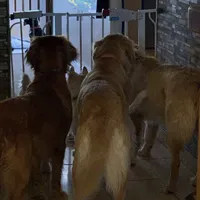 processed/ca0119b5-bf82-410c-867f-2bf52816b1bd/facility/f11dcf96-815b-44ea-a67c-bab2a4f07e18