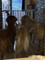 processed/ca0119b5-bf82-410c-867f-2bf52816b1bd/facility/f11dcf96-815b-44ea-a67c-bab2a4f07e18