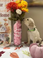 AKC Lime Girl, a female Golden Retriever for sale in Fort Wayne, IN – 4 of 10