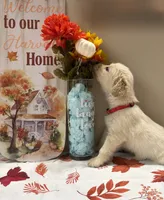 AKC Red Boy, a male Golden Retriever for sale in Fort Wayne, IN – 3 of 10