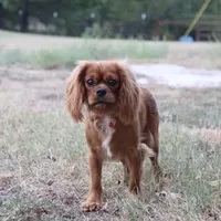 processed/ca0ad2c8-8791-42fa-9cce-5c963e16f4ea/facility/1f14f4d7-bccd-44a2-9087-08d551818c9e