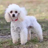 processed/ca0ad2c8-8791-42fa-9cce-5c963e16f4ea/facility/391088cf-5b15-415e-9d67-b38e34508b3b