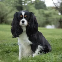 processed/ca0ad2c8-8791-42fa-9cce-5c963e16f4ea/facility/394c02bc-e304-4f83-b2a4-b7b4463ce1a4