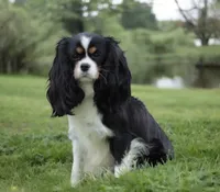 processed/ca0ad2c8-8791-42fa-9cce-5c963e16f4ea/facility/394c02bc-e304-4f83-b2a4-b7b4463ce1a4