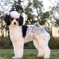 processed/ca0ad2c8-8791-42fa-9cce-5c963e16f4ea/facility/54ff2e2a-5dfd-42e3-a91f-12195ea93957