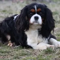 processed/ca0ad2c8-8791-42fa-9cce-5c963e16f4ea/facility/73f27fd1-e401-40a8-b9d9-538794720055