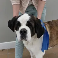 processed/ca0ad2c8-8791-42fa-9cce-5c963e16f4ea/facility/c51b7b82-5067-42fc-b784-085a9c0ea10d