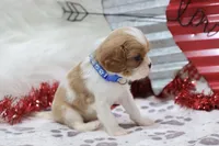 processed/ca0ad2c8-8791-42fa-9cce-5c963e16f4ea/listing/1cc0c48f-6b2a-48ef-ba4d-6c976efb8610/b848e28b-82d2-42f2-998e-049a14b670ad