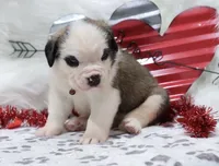 processed/ca0ad2c8-8791-42fa-9cce-5c963e16f4ea/listing/71a5f78a-3d81-411a-aaee-1462970ed6c6/35f5edc0-5625-4b10-b371-1bf2697851c9