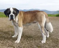 processed/ca0ad2c8-8791-42fa-9cce-5c963e16f4ea/listing/71a5f78a-3d81-411a-aaee-1462970ed6c6/38b78e4b-a000-4a52-b083-f506125a4c2c