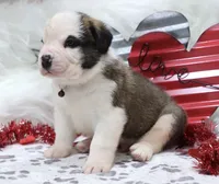 processed/ca0ad2c8-8791-42fa-9cce-5c963e16f4ea/listing/71a5f78a-3d81-411a-aaee-1462970ed6c6/4ac9f32c-1df5-44fa-a121-95ba0c986ba6